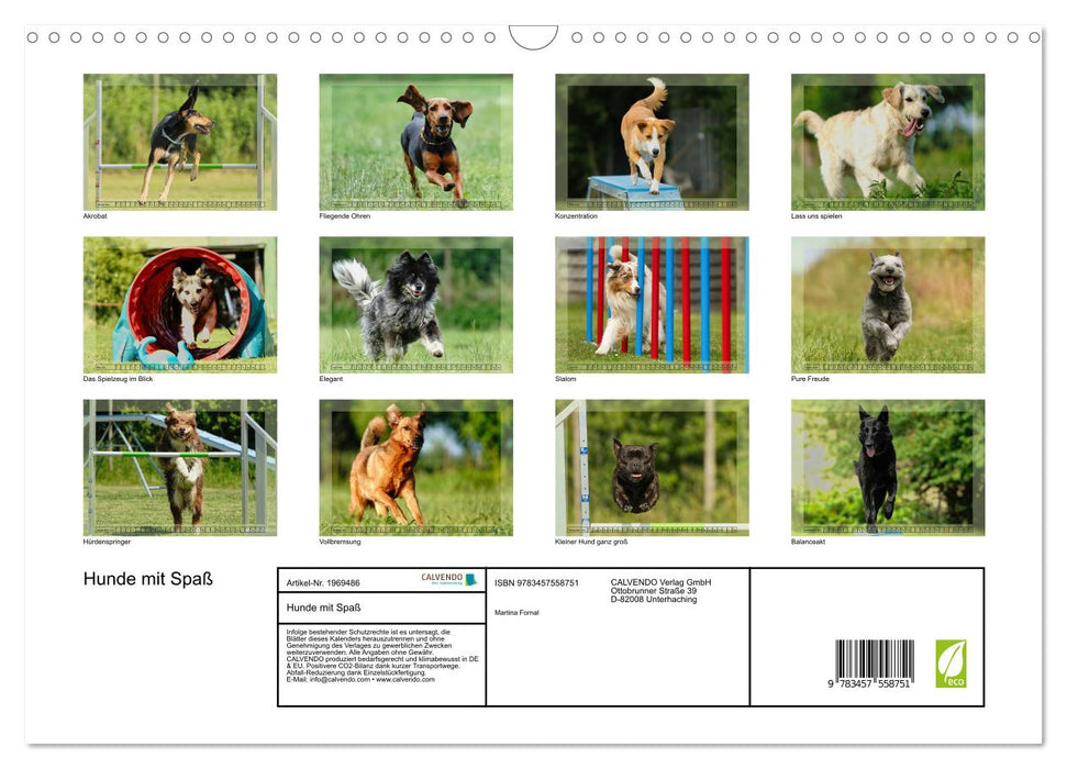 Hunde mit Spaß (CALVENDO Wandkalender 2026)