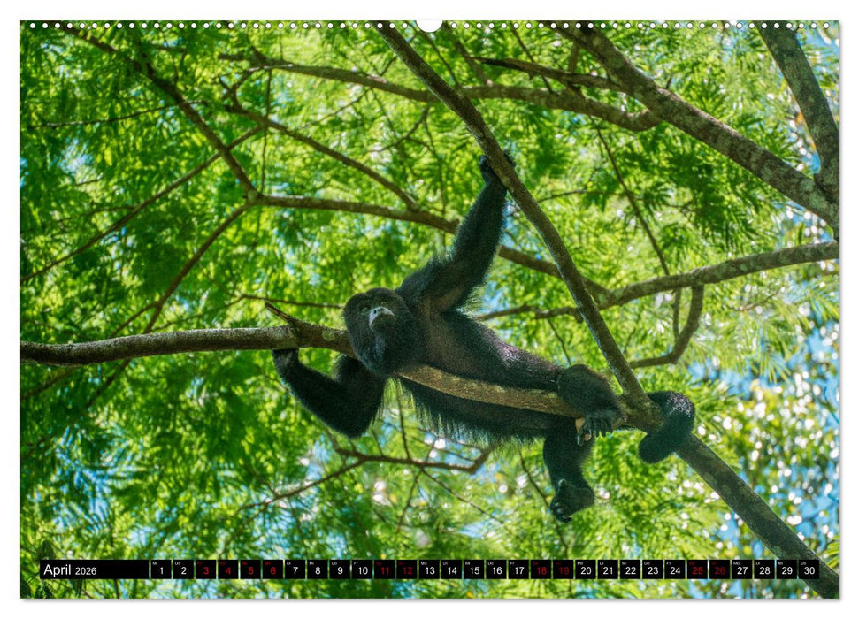 Spektakuläres Guatemala (CALVENDO Wandkalender 2026)