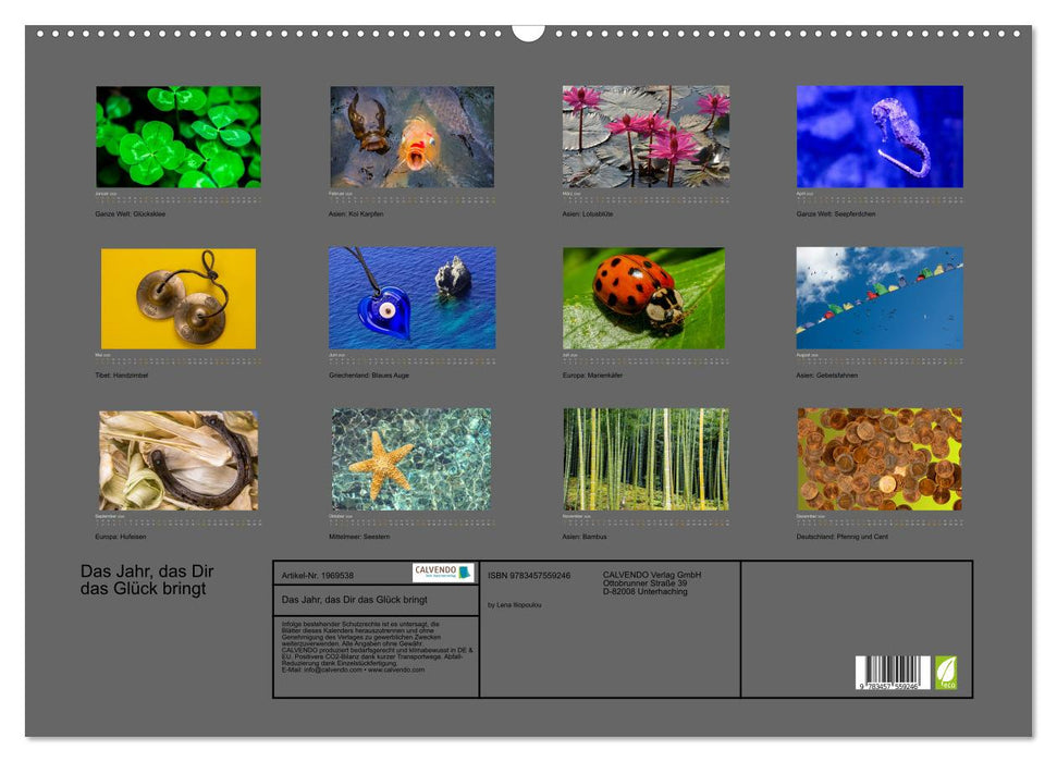 Das Jahr, das Dir das Glück bringt (CALVENDO Wandkalender 2026)