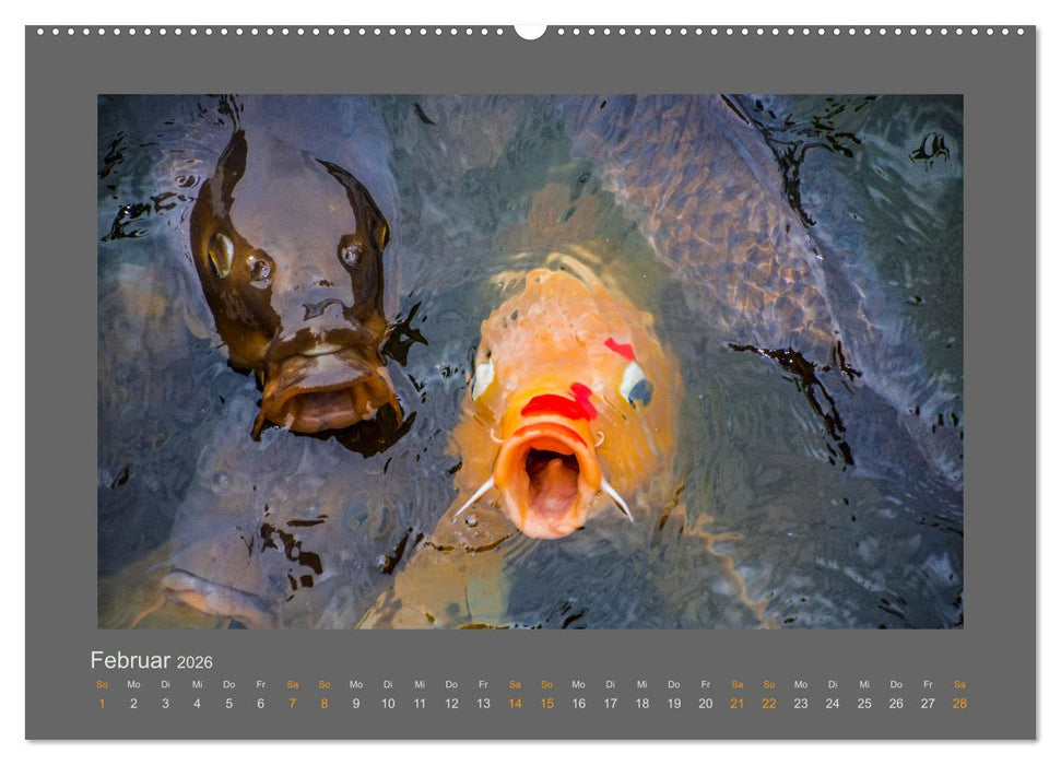 Das Jahr, das Dir das Glück bringt (CALVENDO Wandkalender 2026)
