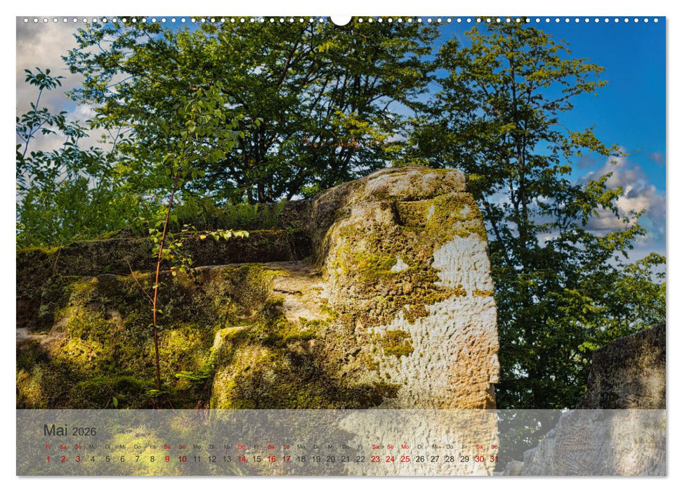 Felsenburg Rotenhan (CALVENDO Wandkalender 2026)