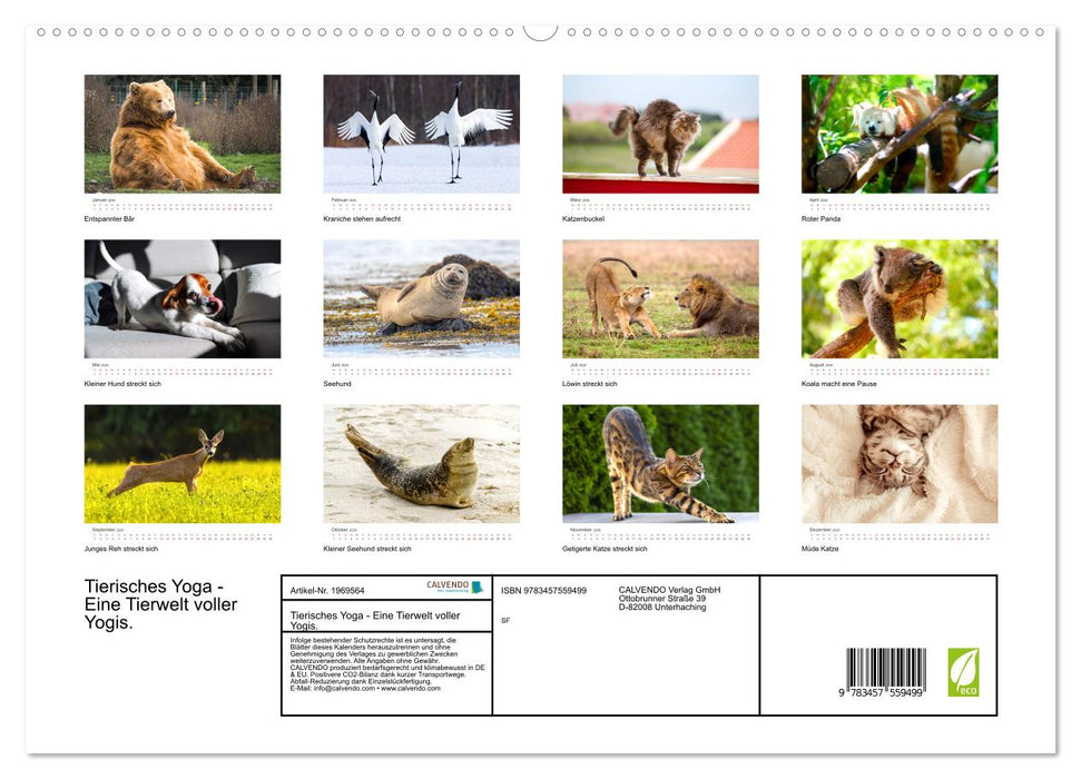 Tierisches Yoga - Eine Tierwelt voller Yogis. (CALVENDO Premium Wandkalender 2026)