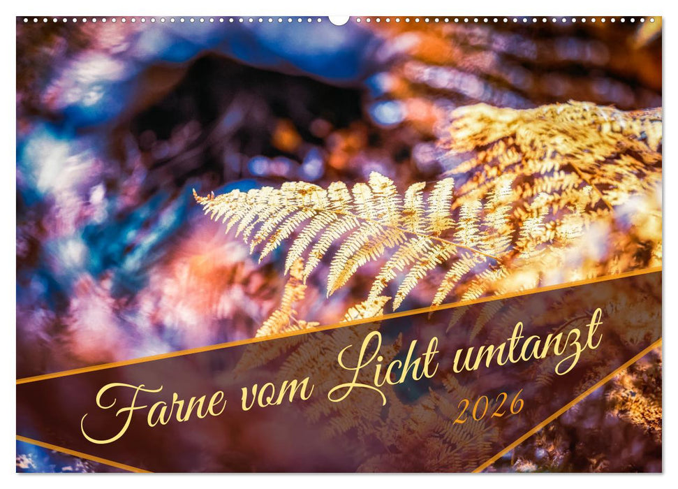 Farne vom Licht umtanzt (CALVENDO Wandkalender 2026)