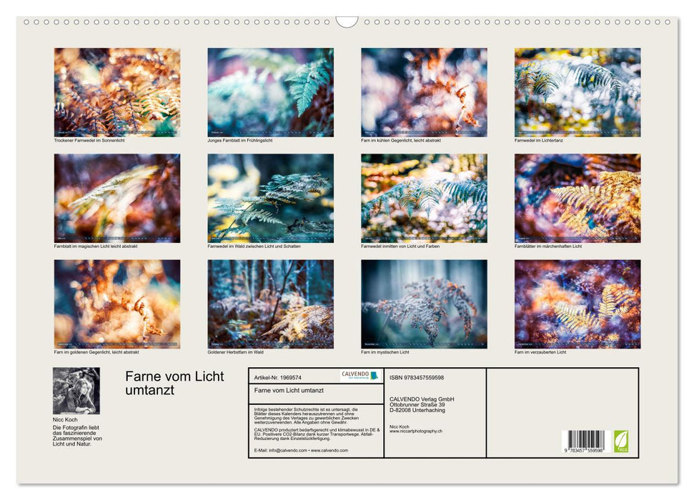 Farne vom Licht umtanzt (CALVENDO Wandkalender 2026)