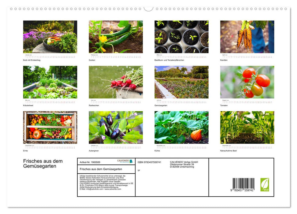 Frisches aus dem Gemüsegarten (CALVENDO Premium Wandkalender 2026)