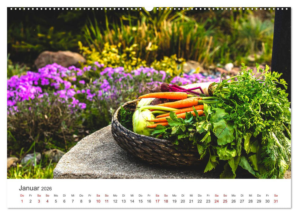 Frisches aus dem Gemüsegarten (CALVENDO Premium Wandkalender 2026)