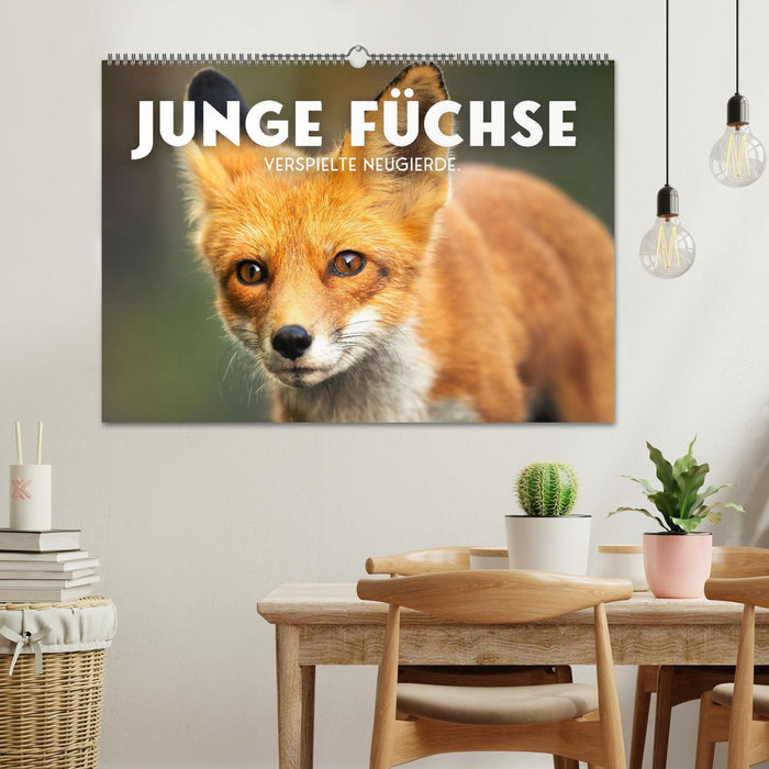 Junge Füchse - Verspielte Neugierde. (CALVENDO Wandkalender 2026)