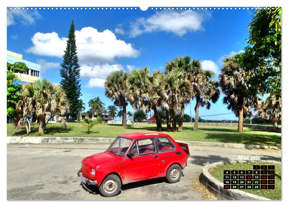 Auto-Zwerge - Europäische Kleinstwagen auf Kuba (CALVENDO Wandkalender 2026)