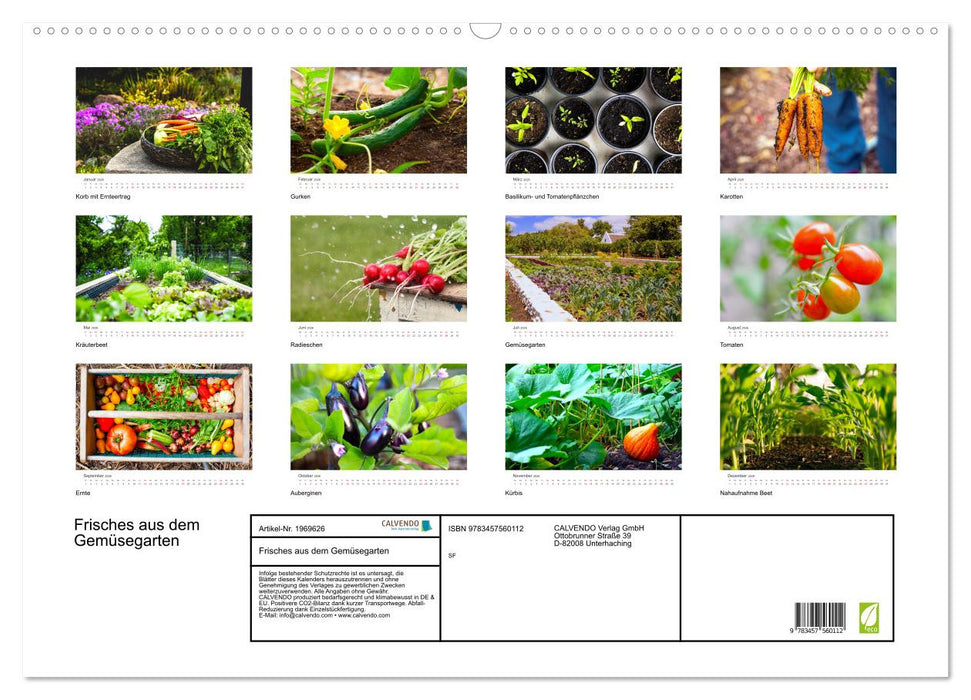 Frisches aus dem Gemüsegarten (CALVENDO Wandkalender 2026)