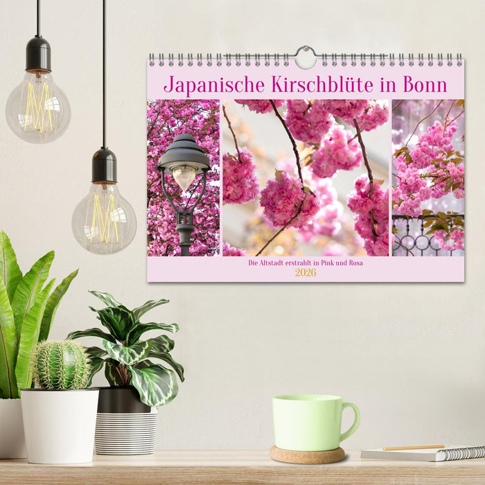 Japanische Kirschblüte in Bonn (CALVENDO Wandkalender 2026)