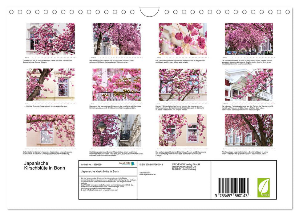 Japanische Kirschblüte in Bonn (CALVENDO Wandkalender 2026)