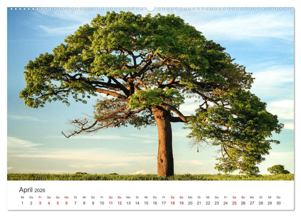 Nicaragua - Impressionen von Land und Tierwelt. (CALVENDO Wandkalender 2026)