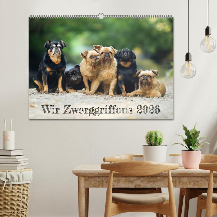 Wir Zwerggriffons 2026 (CALVENDO Wandkalender 2026)