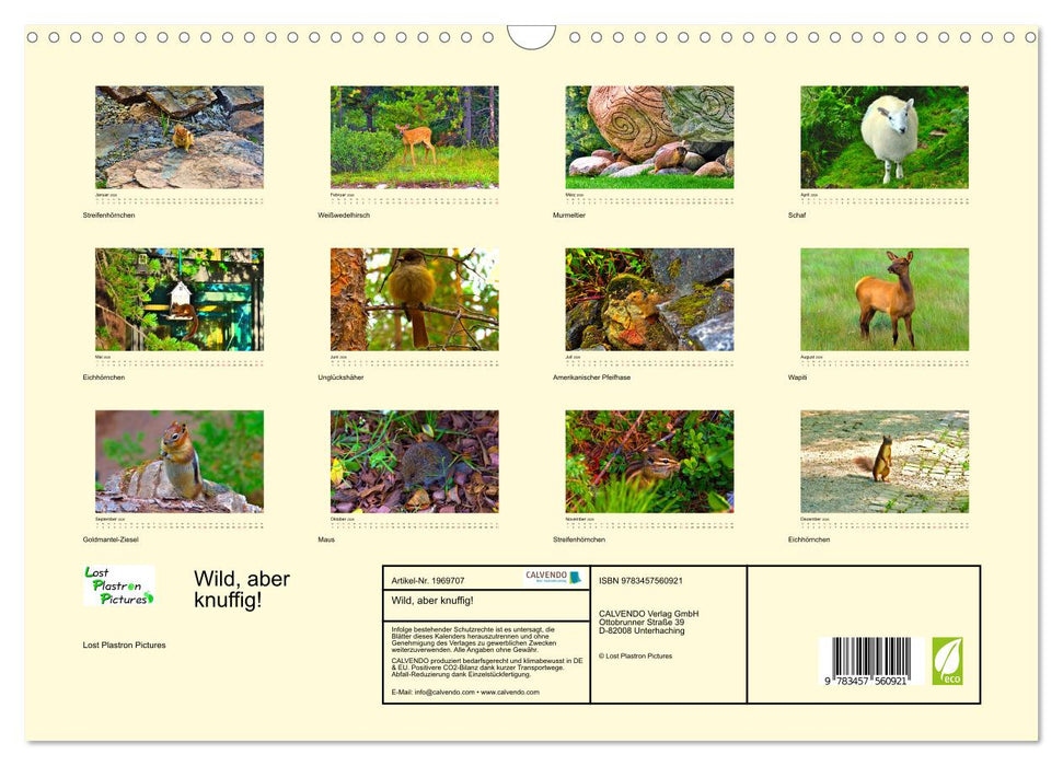 Wild, aber knuffig! (CALVENDO Wandkalender 2026)