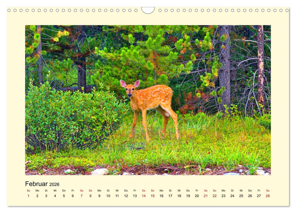 Wild, aber knuffig! (CALVENDO Wandkalender 2026)