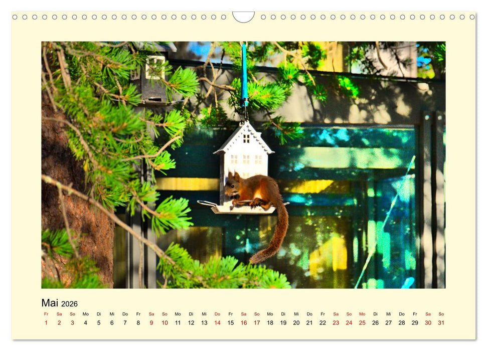 Wild, aber knuffig! (CALVENDO Wandkalender 2026)