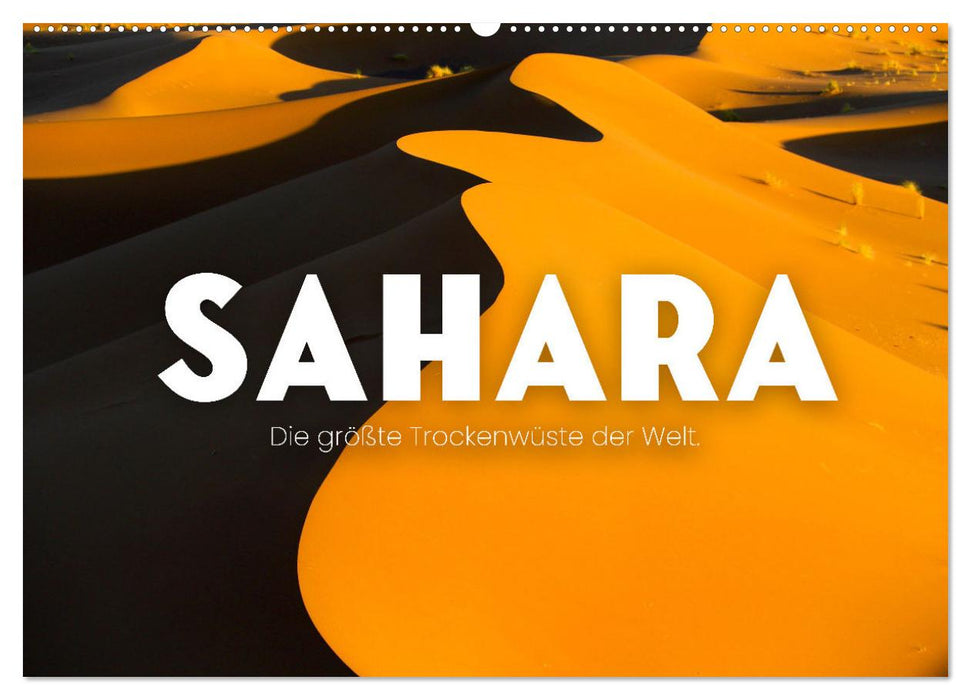 Sahara - Die größte Trockenwüste der Welt. (CALVENDO Wandkalender 2026)