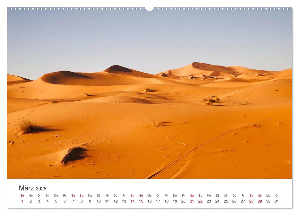 Sahara - Die größte Trockenwüste der Welt. (CALVENDO Wandkalender 2026)