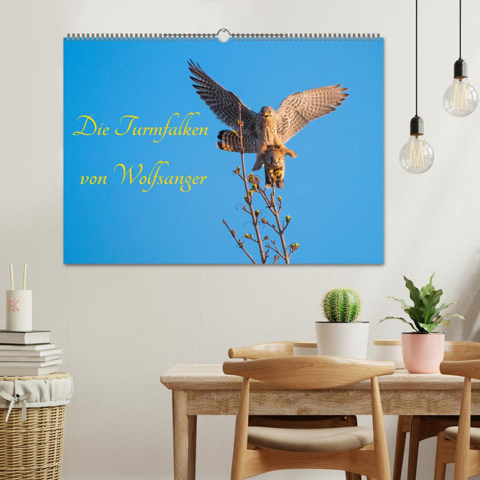 Die Turmfalken von Wolfsanger (CALVENDO Wandkalender 2026)