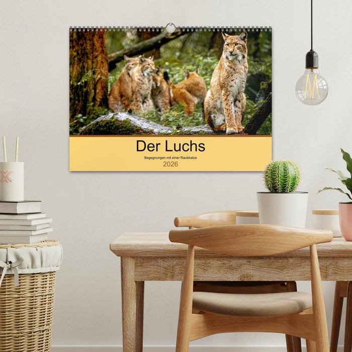 Der Luchs - Begegnungen mit einer Raubkatze (CALVENDO Wandkalender 2026)