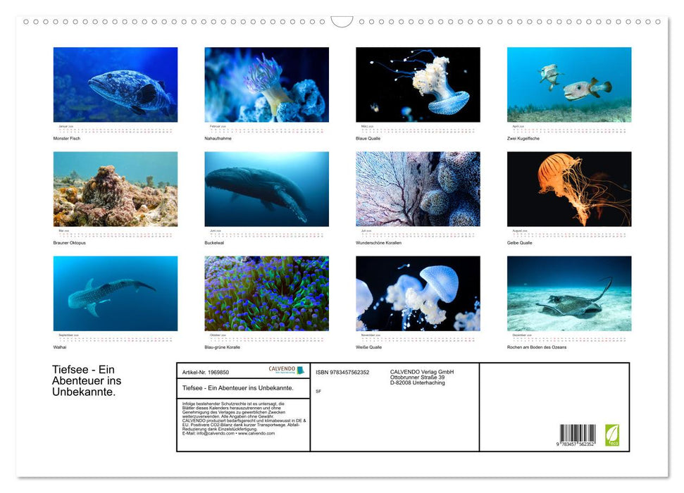 Tiefsee - Ein Abenteuer ins Unbekannte. (CALVENDO Wandkalender 2026)