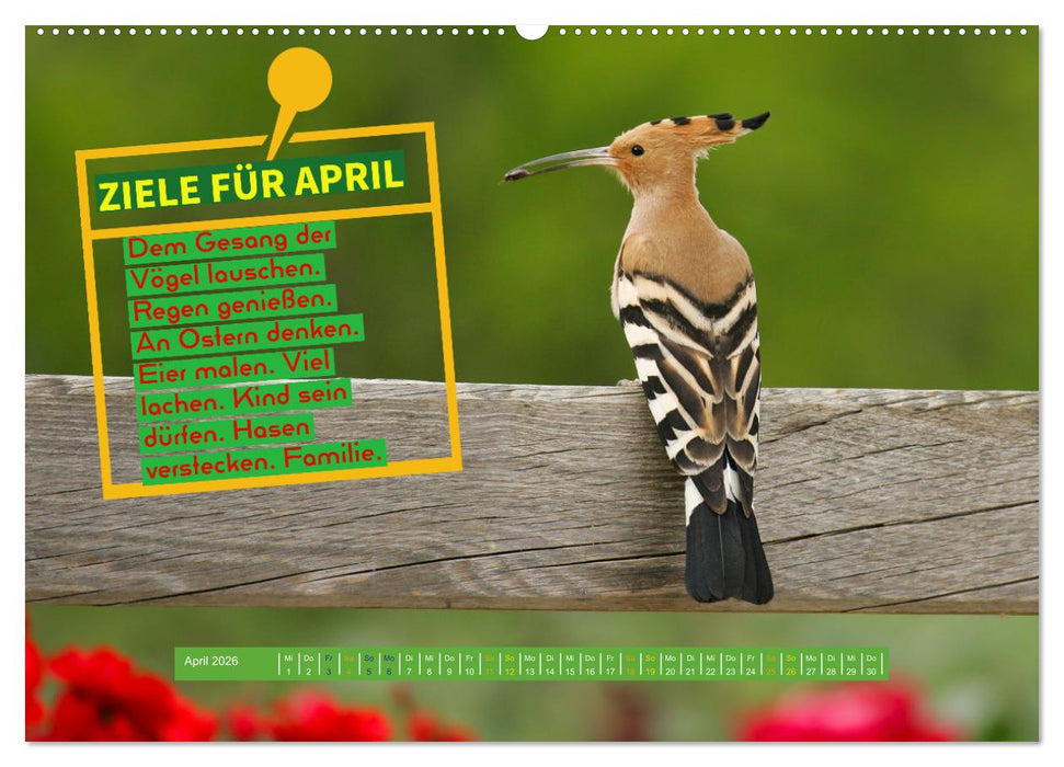 ZIELE Monat für Monat (CALVENDO Wandkalender 2026)