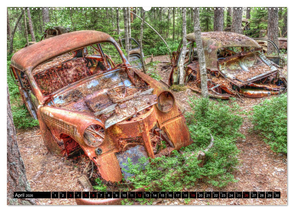Autofriedhof Ryd (CALVENDO Wandkalender 2026)