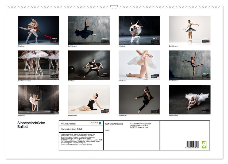 Sinneseindrücke Ballett (CALVENDO Wandkalender 2026)