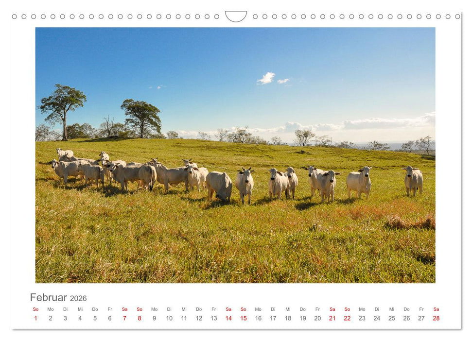 Costa Rica - unterwegs mit Julia Hahn (CALVENDO Wandkalender 2026)