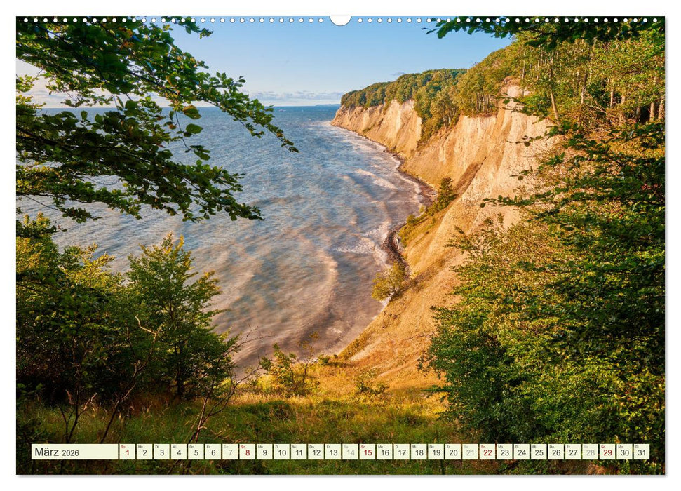 Rügen - Jasmund Nationalpark (CALVENDO Wandkalender 2026)