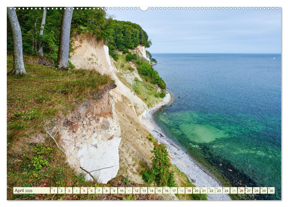 Rügen - Jasmund Nationalpark (CALVENDO Wandkalender 2026)