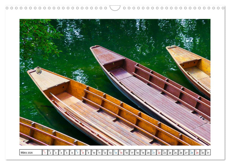 Tübingen im Fokus (CALVENDO Wandkalender 2026)