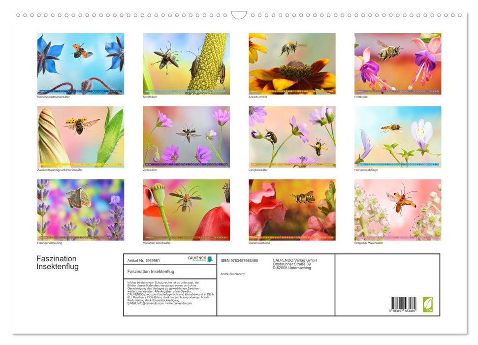 Faszination Insektenflug (CALVENDO Wandkalender 2026)
