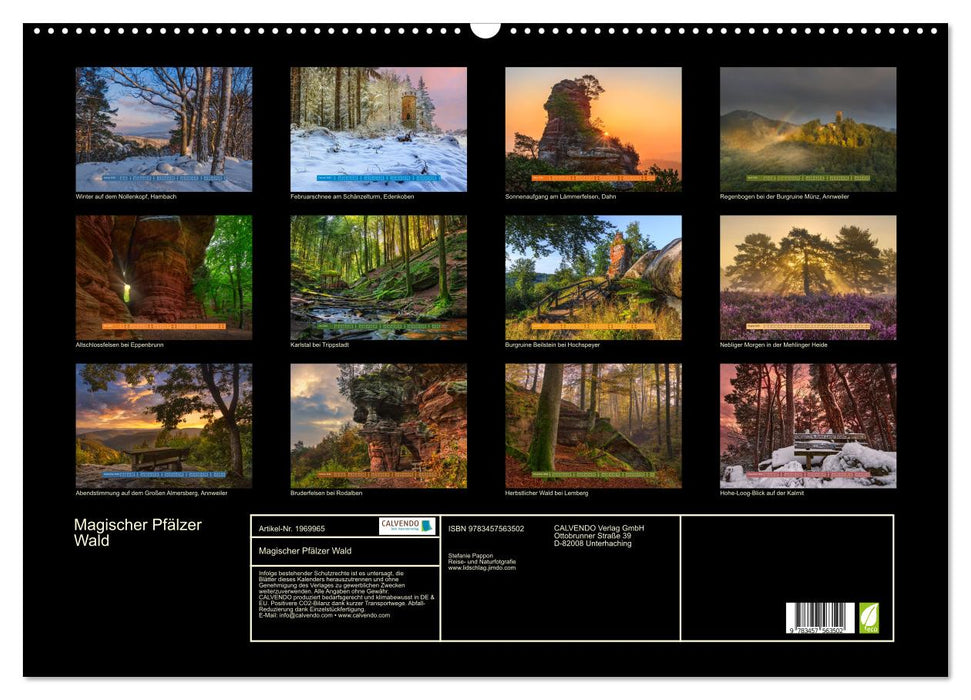 Magischer Pfälzer Wald (CALVENDO Wandkalender 2026)
