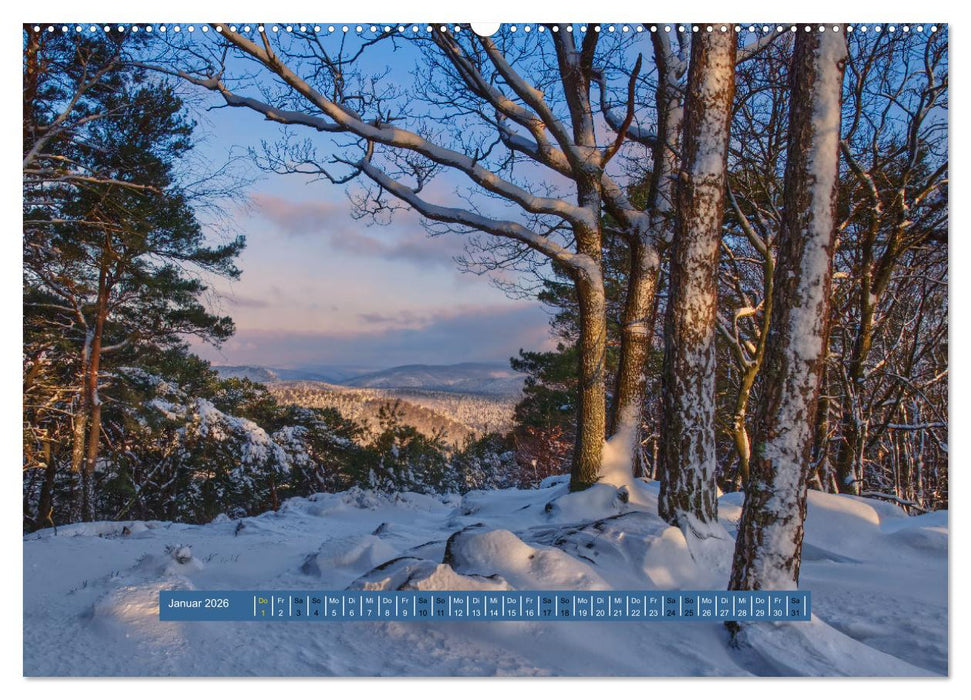 Magischer Pfälzer Wald (CALVENDO Wandkalender 2026)