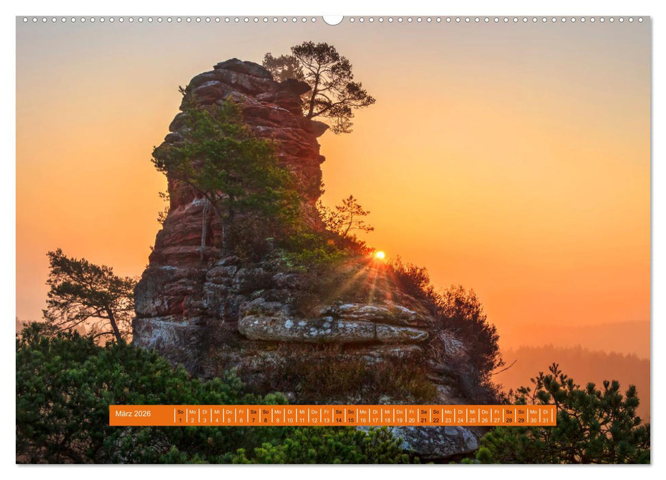 Magischer Pfälzer Wald (CALVENDO Wandkalender 2026)