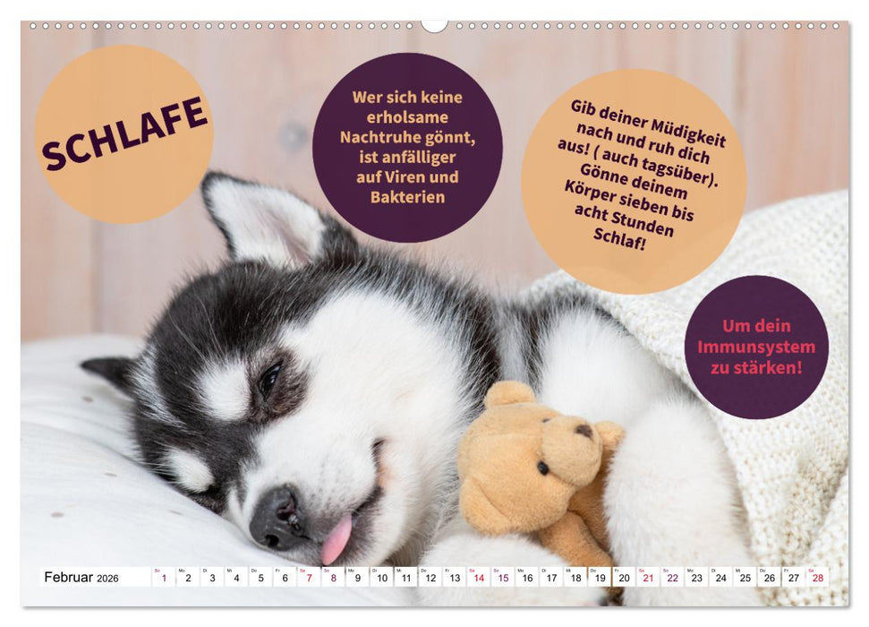 Fit durch den Alltag - stärke deine Abwehrkräfte (CALVENDO Wandkalender 2026)