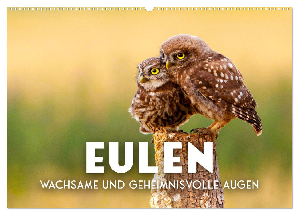 Eulen - Wachsame und geheimnisvolle Augen (CALVENDO Wandkalender 2026)