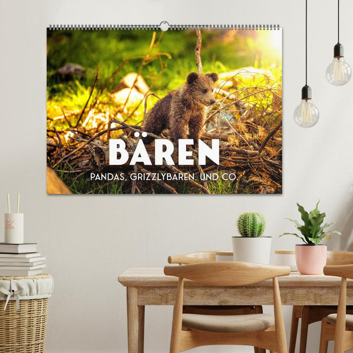 Bären - Pandas, Grizzlybären und Co. (CALVENDO Wandkalender 2026)