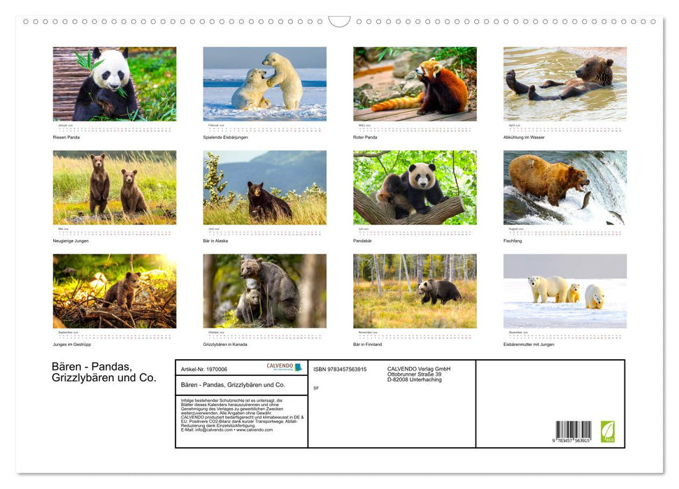 Bären - Pandas, Grizzlybären und Co. (CALVENDO Wandkalender 2026)