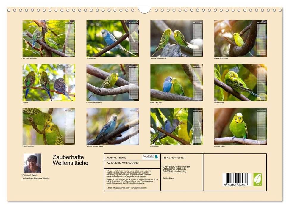 Zauberhafte Wellensittiche (CALVENDO Wandkalender 2026)