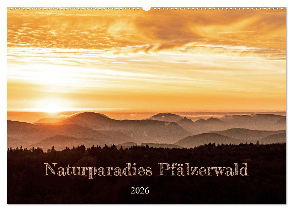 Naturparadies Pfälzerwald (CALVENDO Wandkalender 2026)
