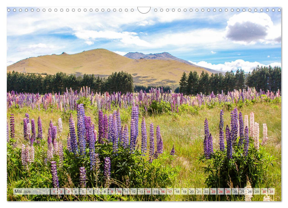 Faszination Neuseeland (CALVENDO Wandkalender 2026)