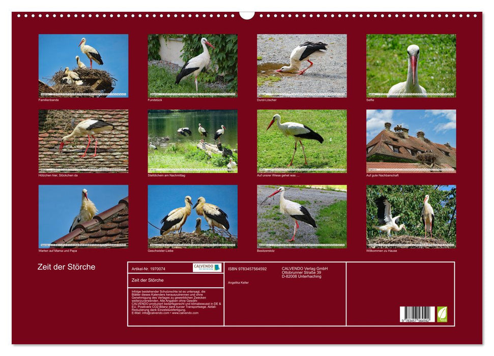 Zeit der Störche (CALVENDO Wandkalender 2026)
