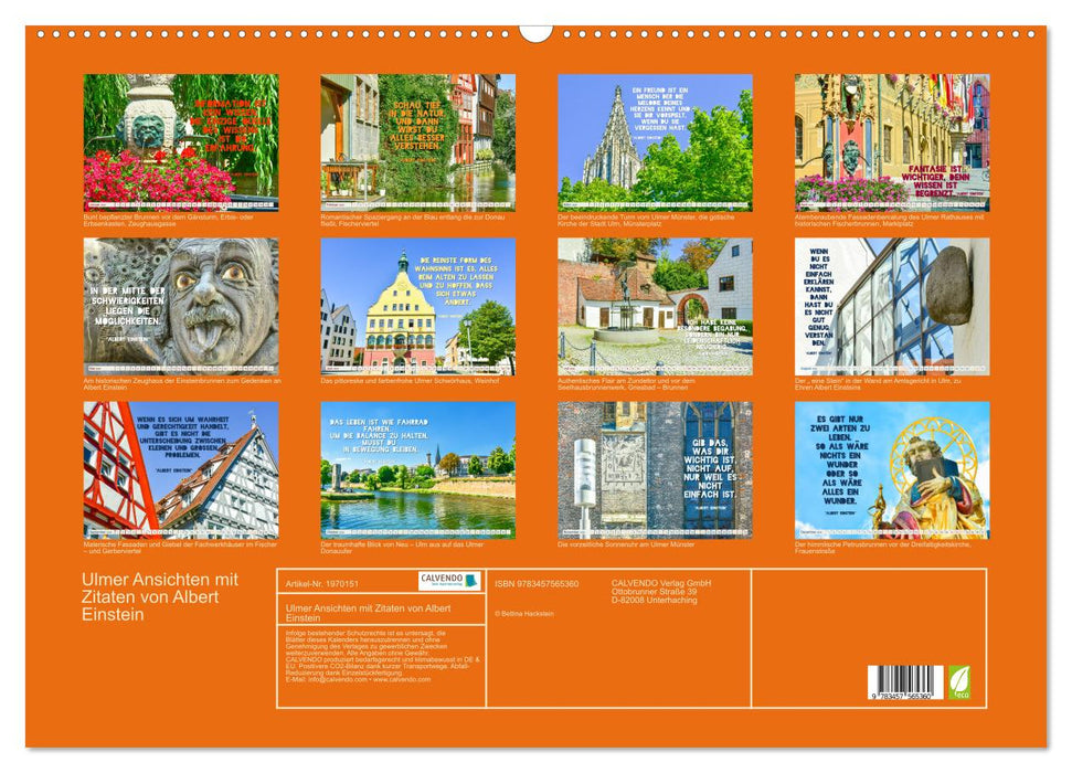 Ulmer Ansichten mit Zitaten von Albert Einstein (CALVENDO Wandkalender 2026)