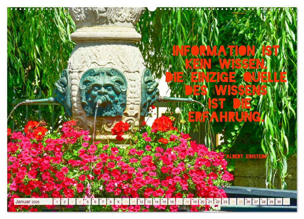 Ulmer Ansichten mit Zitaten von Albert Einstein (CALVENDO Wandkalender 2026)