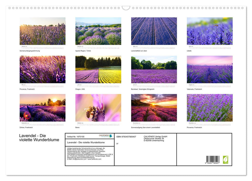 Lavendel - Die violette Wunderblume (CALVENDO Wandkalender 2026)