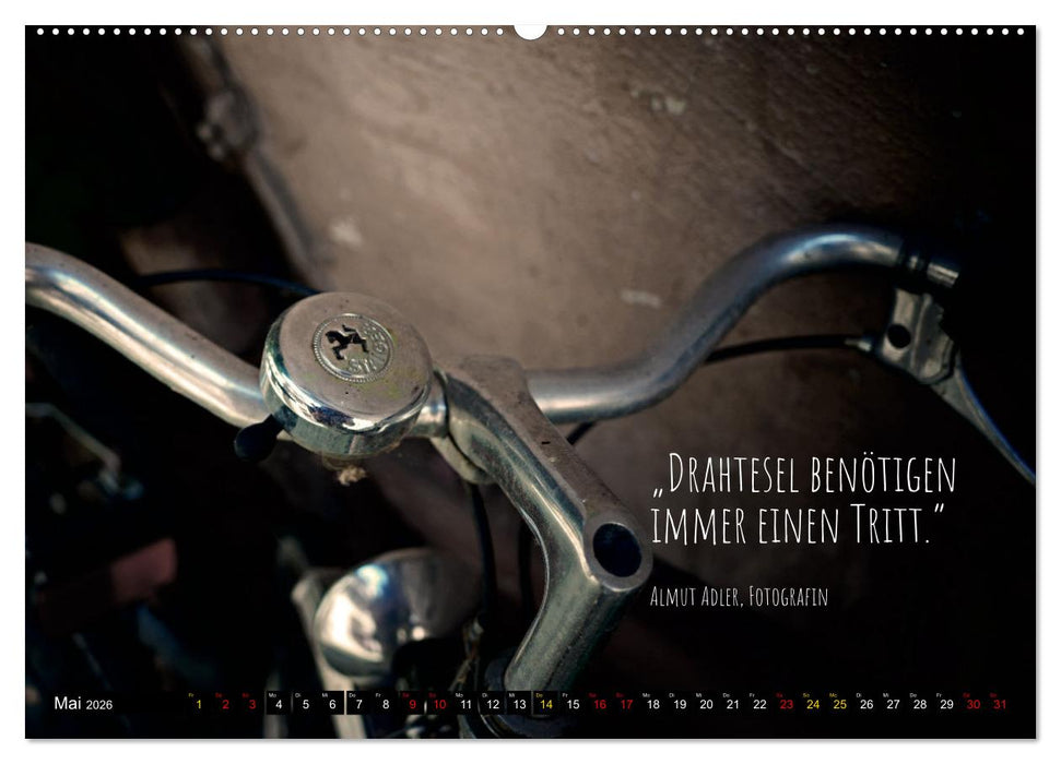 Velo Kunst (CALVENDO Wandkalender 2026)