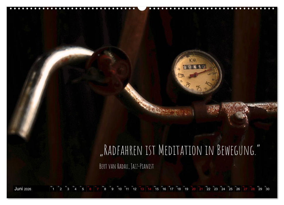 Velo Kunst (CALVENDO Wandkalender 2026)