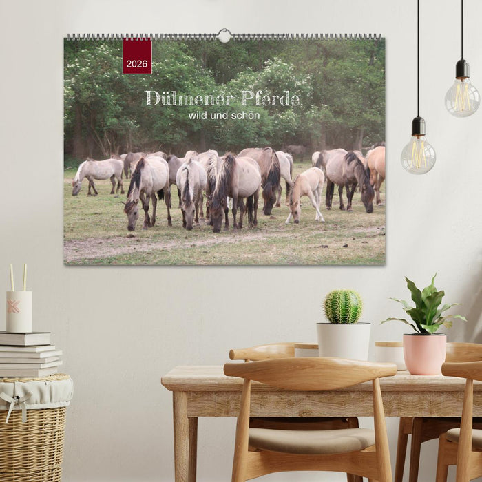 Dülmener Pferde, wild und schön (CALVENDO Wandkalender 2026)